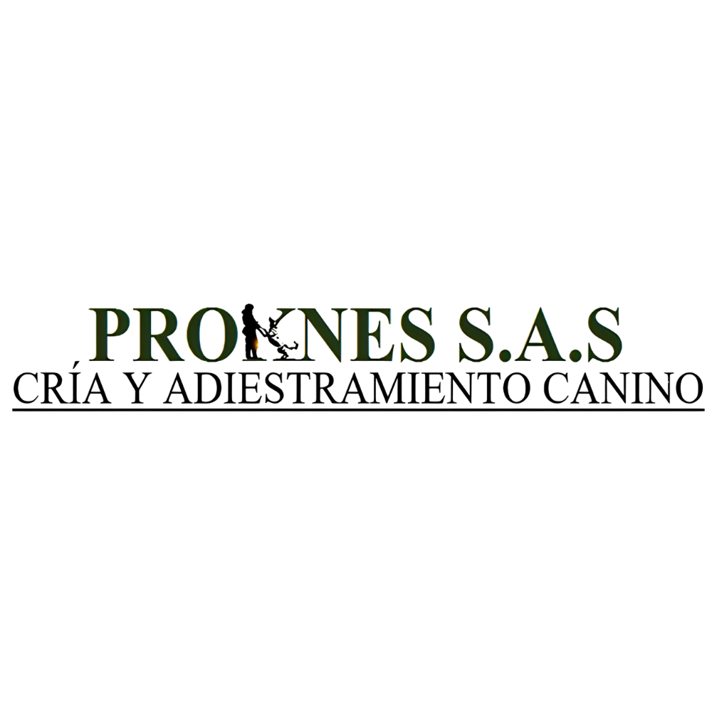Proknes S.A.S